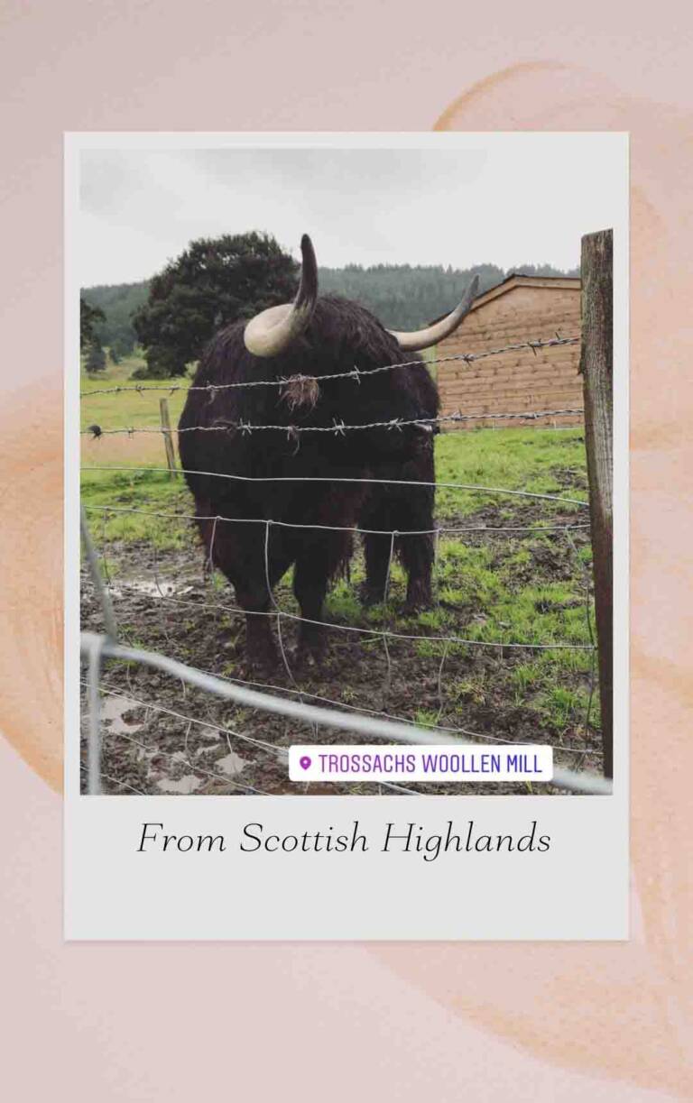 Internal image Scotland - 6